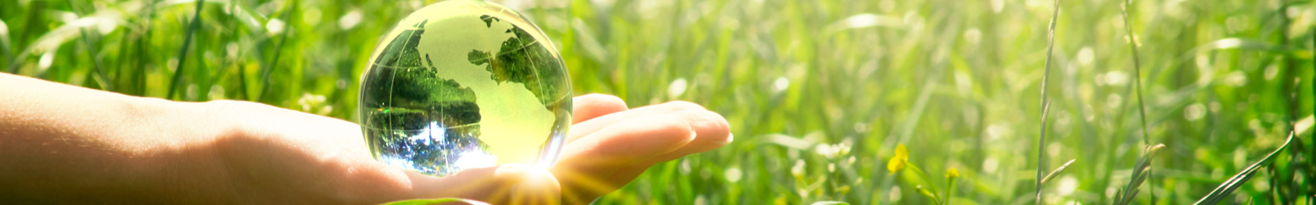 woman's hand holding a crystal globe in front of thick grass